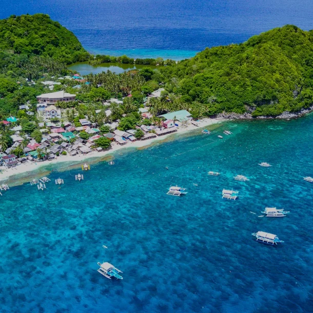 Apo Island the Gem of Negros Oriental