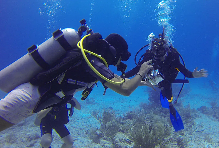 Apo Island Scuba Discover Scuba (DSD)